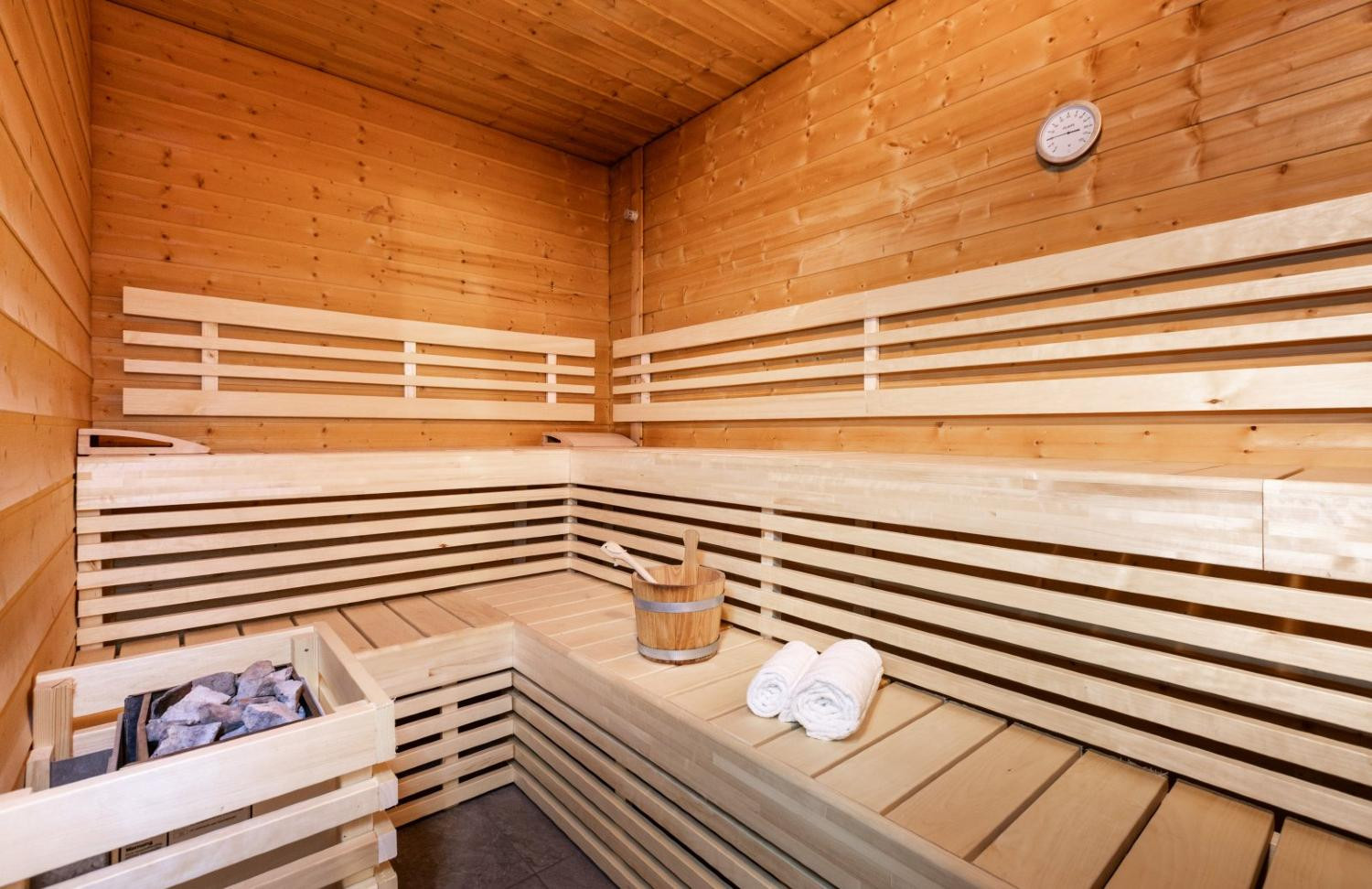 chalet-de-l-ours-sauna-1459932