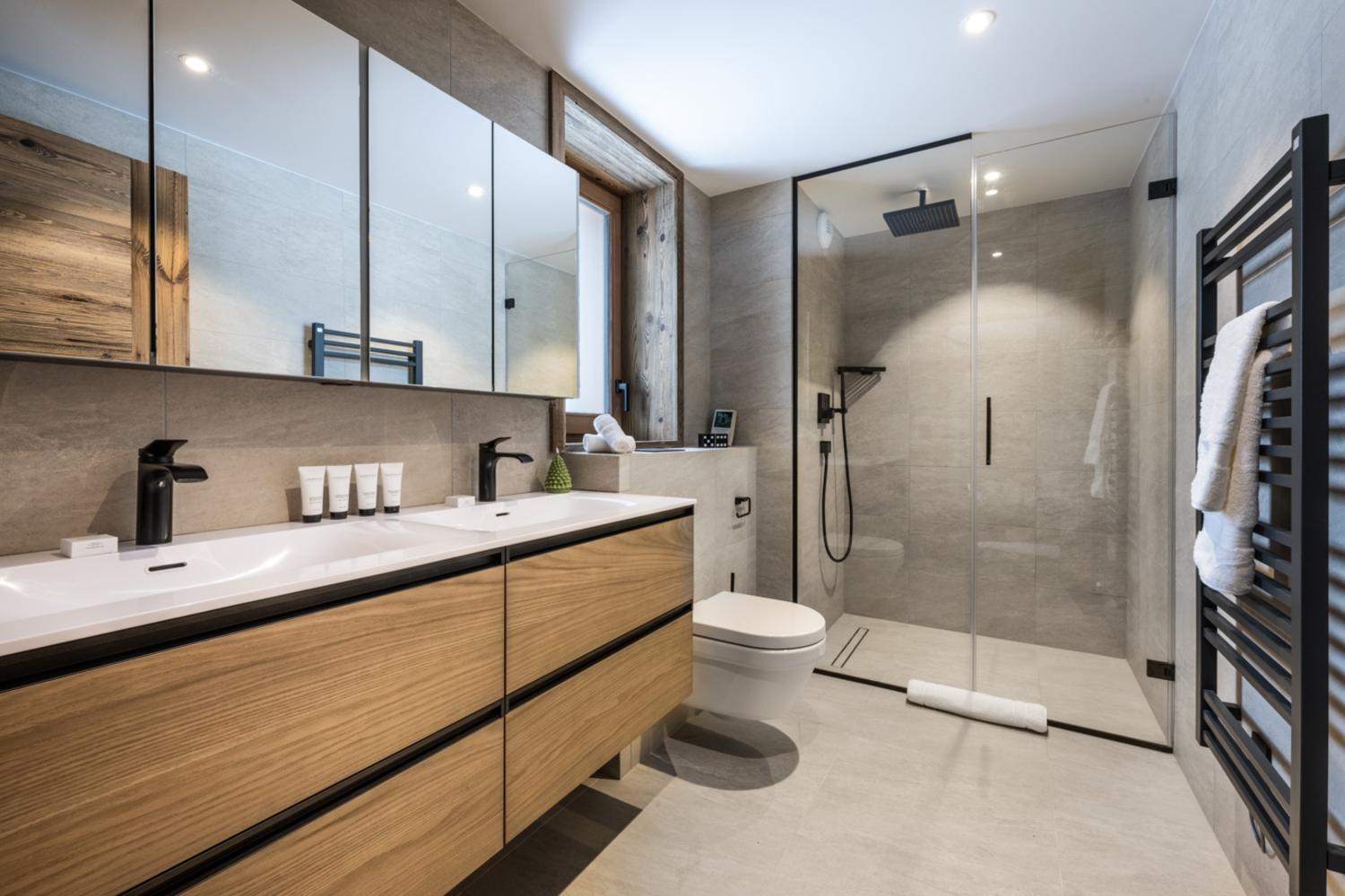 falcon-meribel-philippe-gal-c21-038-753254