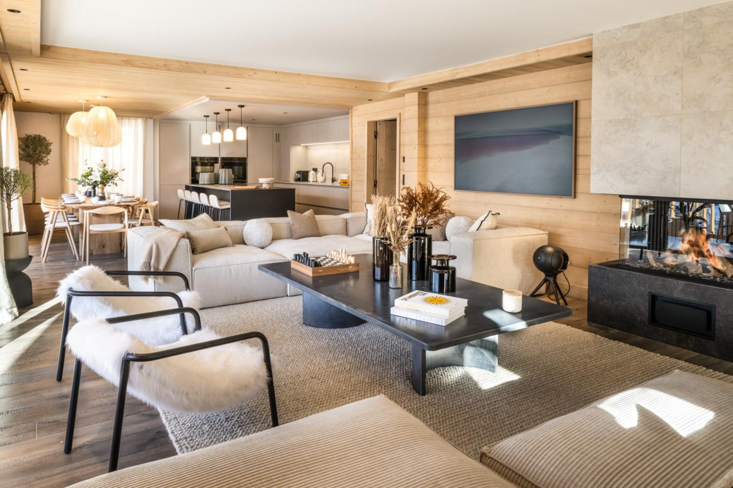 falcon-meribel-philippe-gal-e11-088-753350