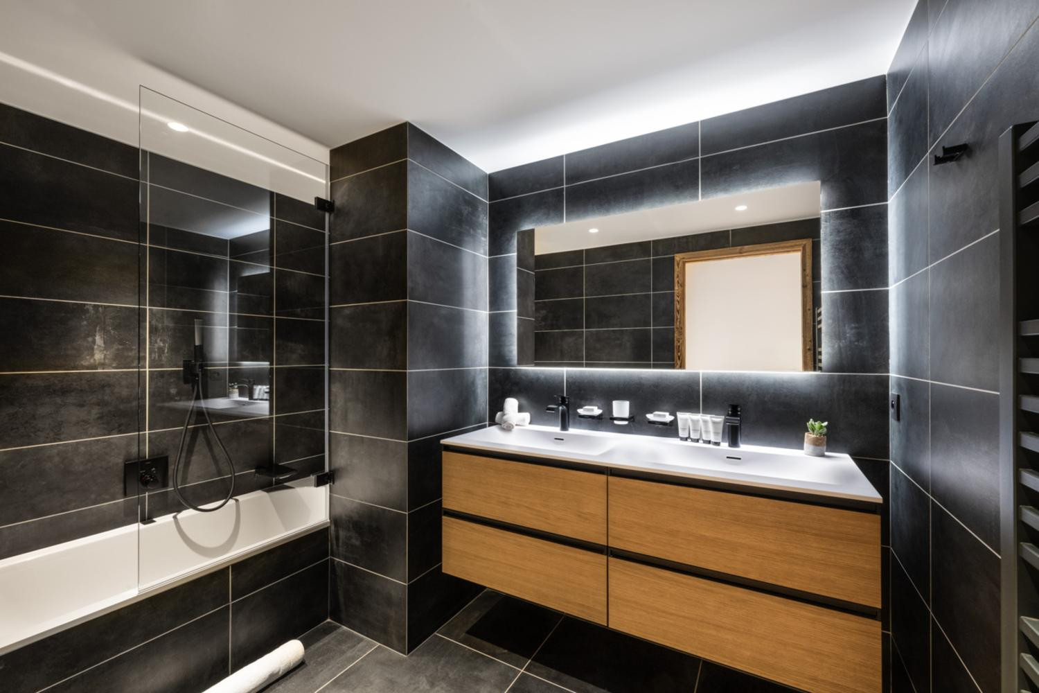 falcon-meribel-philippe-gal-e21-011-753369