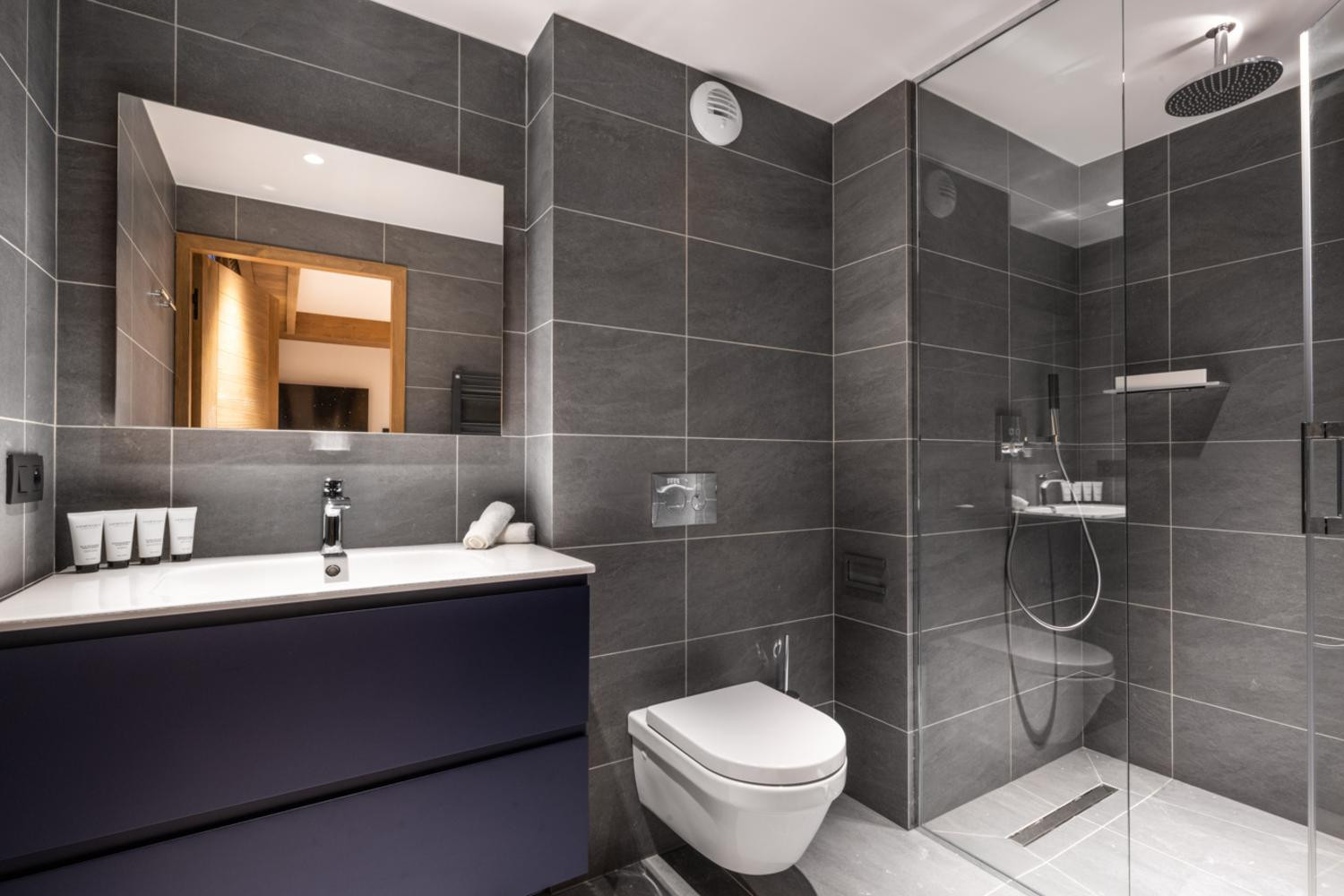 falcon-meribel-philippe-gal-g11-011-753440