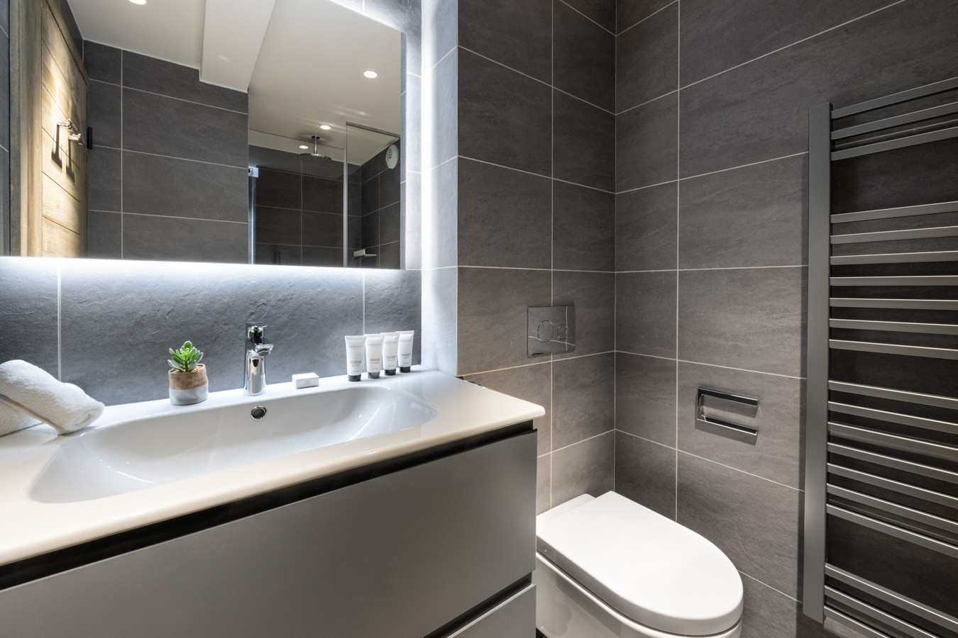 falcon-meribel-philippe-gal-i01-011-634272