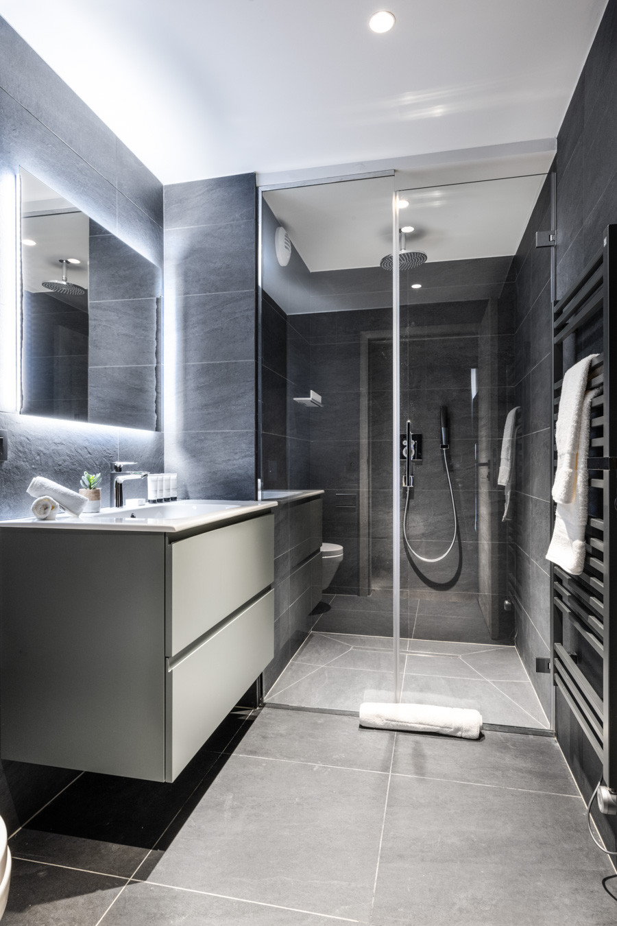 falcon-meribel-philippe-gal-i01-029-634268