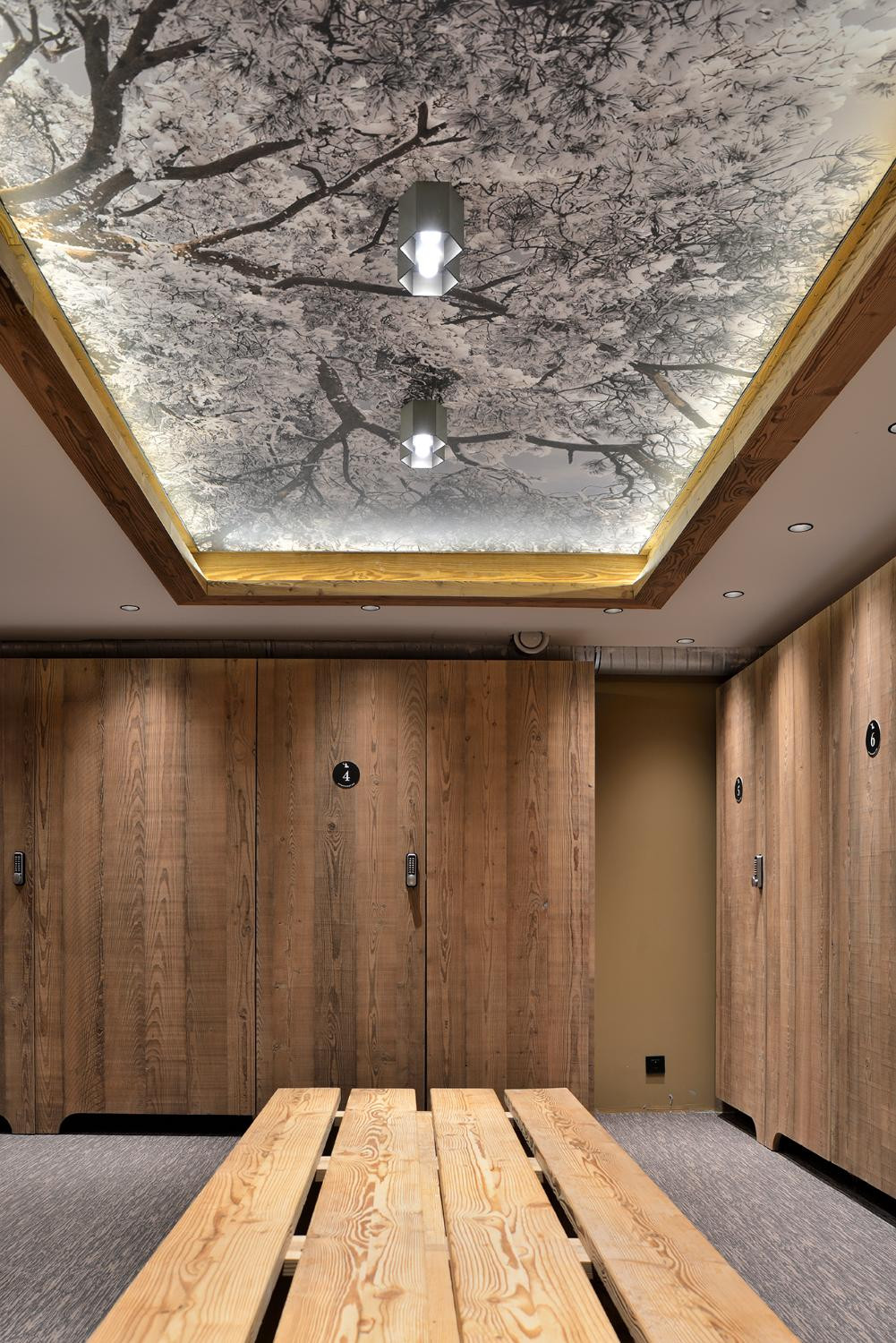 triplex-isba-barnes-meribel-ski-locker-1453512