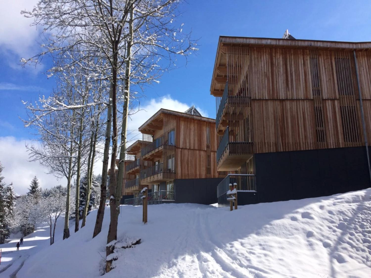 xqpgngvkfoaaigrx28mz-1451900