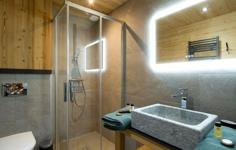 18-3799-location-ski-les-deux-alpes-chalet-l-hermine-18-907470