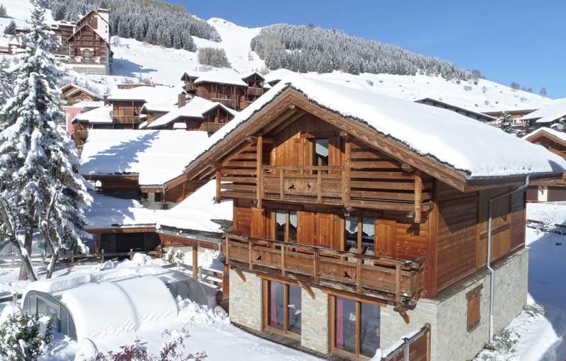 27-2713-tmp2407-location-ski-les-deux-alpes-chalet-odalys-le-loup-lodge-1-899799