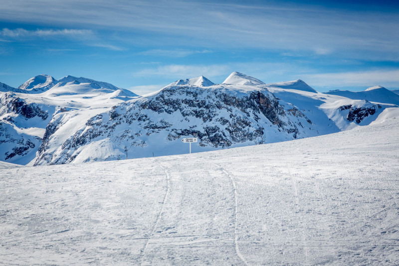 _lv_images__lot_0000380023_13_1458435 _lv_images__lot_0000380023_13_1458435