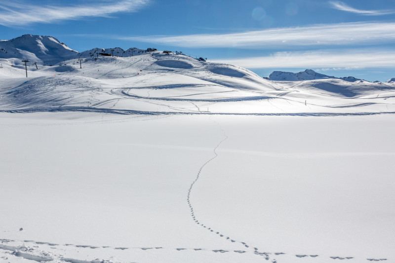 _lv_images__lot_0000730010_14_1458060 _lv_images__lot_0000730010_14_1458060