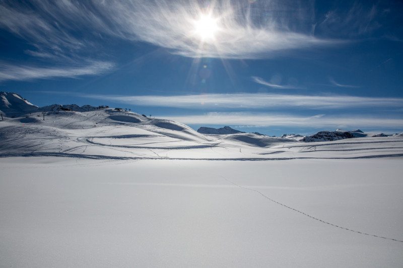 _lv_images__lot_0000760005_12_1455594