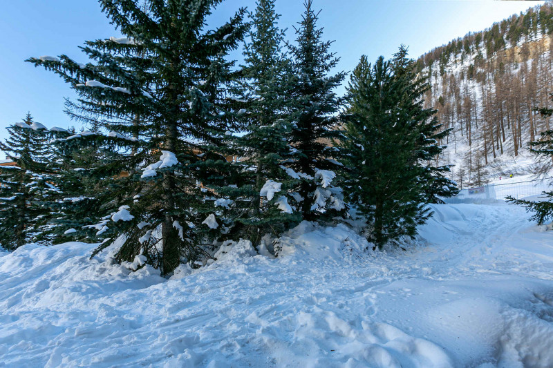 _lv_images__lot_0000950010_08_1458444 _lv_images__lot_0000950010_08_1458444