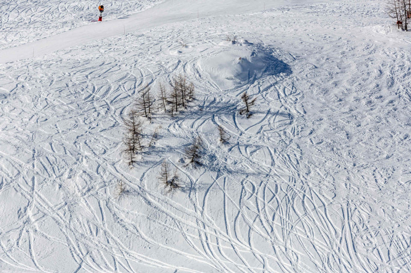 _lv_images__lot_0000950010_14_1458450 _lv_images__lot_0000950010_14_1458450