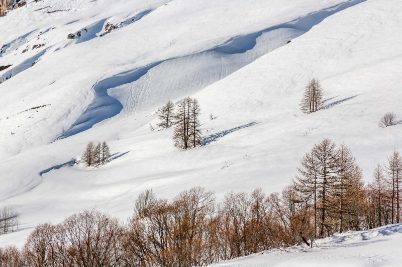 _lv_images__lot_0000950023_14_1458391 _lv_images__lot_0000950023_14_1458391