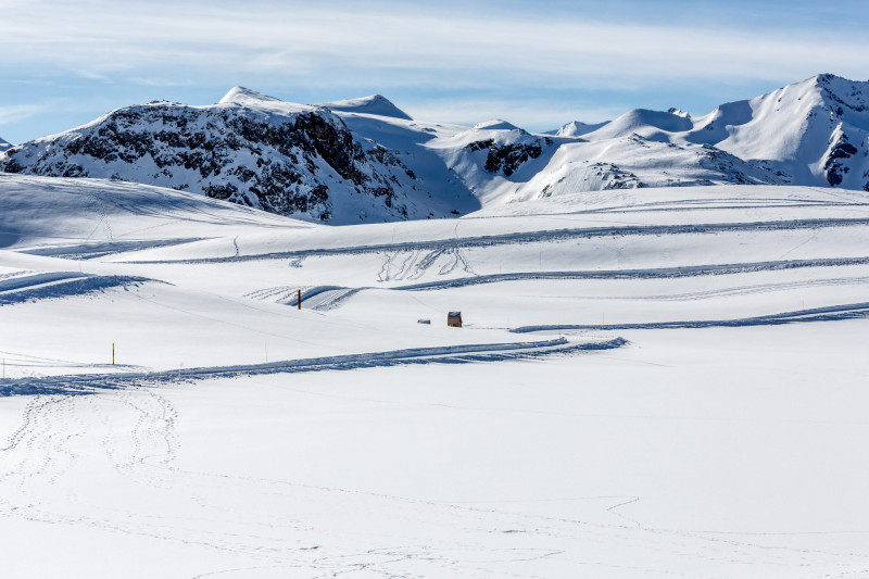 _lv_images__lot_0000950023_15_1458392 _lv_images__lot_0000950023_15_1458392