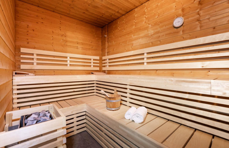 chalet-de-l-ours-sauna-1459932