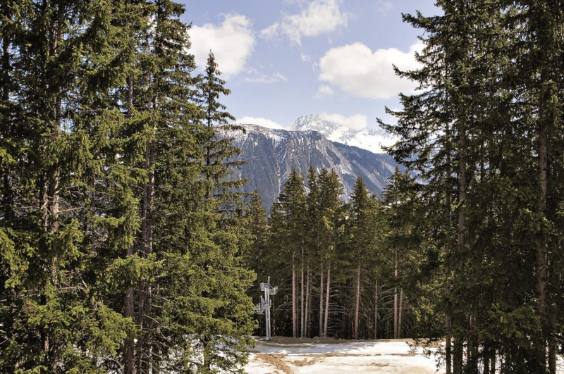 chasseforet-courchevel-1850-1-1463671