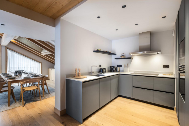 falcon-meribel-philippe-gal-a20-019-753103