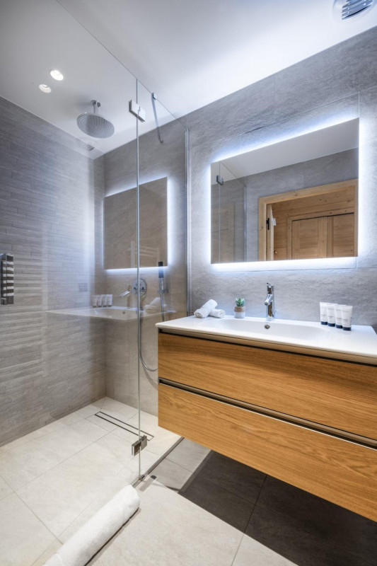 falcon-meribel-philippe-gal-a20-110-753112