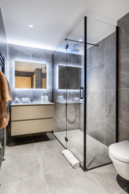 falcon-meribel-philippe-gal-b40-213-753213