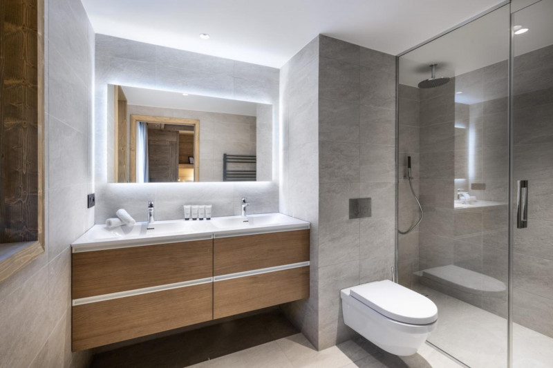 falcon-meribel-philippe-gal-c22-053-753269