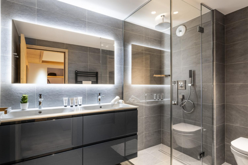 falcon-meribel-philippe-gal-d01-003-753281