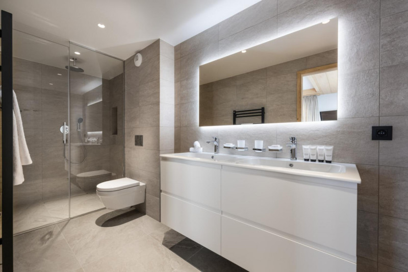 falcon-meribel-philippe-gal-d22-037-753319