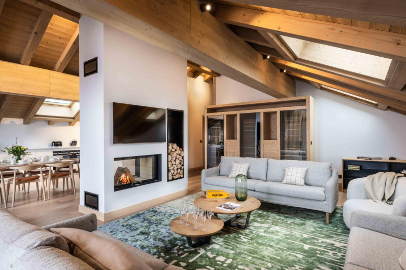 falcon-meribel-philippe-gal-d22-126-753313