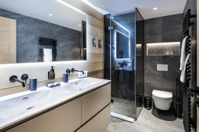 falcon-meribel-philippe-gal-e11-028-753356