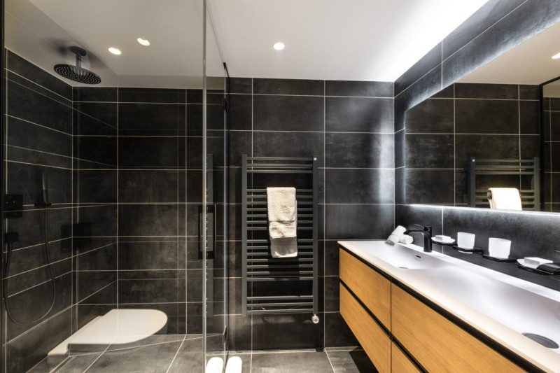 falcon-meribel-philippe-gal-e21-013-753373