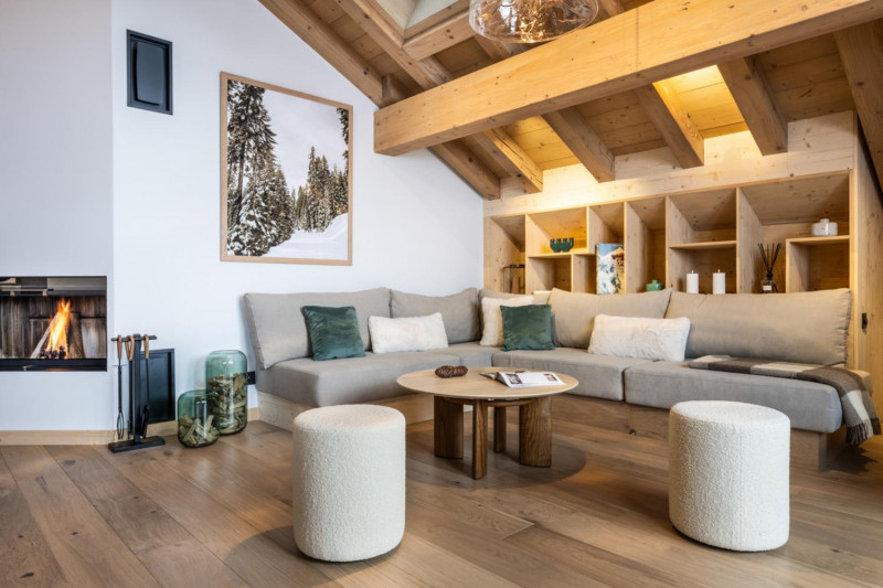 falcon-meribel-philippe-gal-e31-006-753379