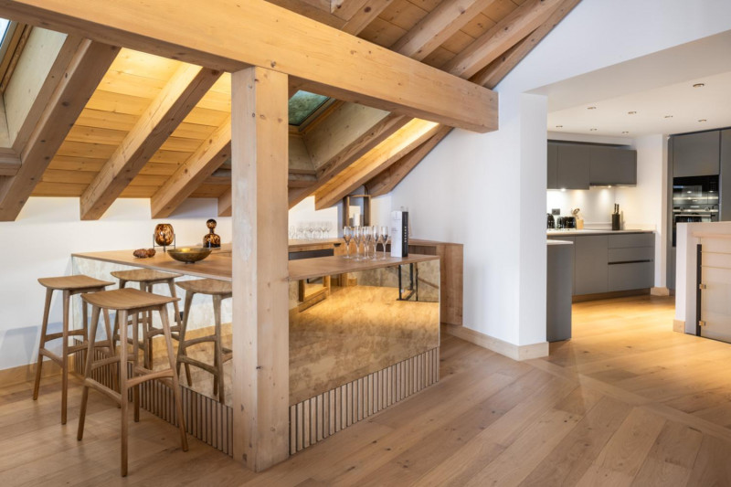 falcon-meribel-philippe-gal-e31-038-753383