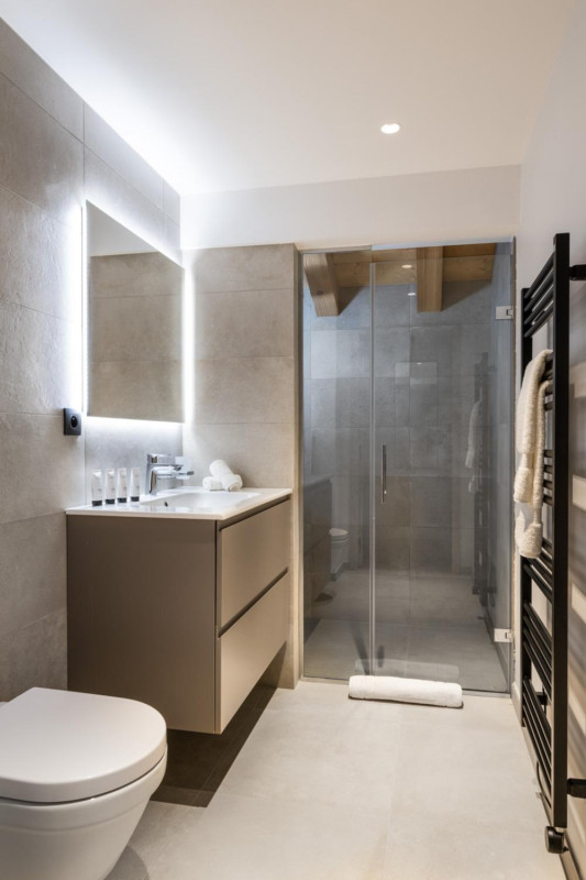 falcon-meribel-philippe-gal-e31-103-753390