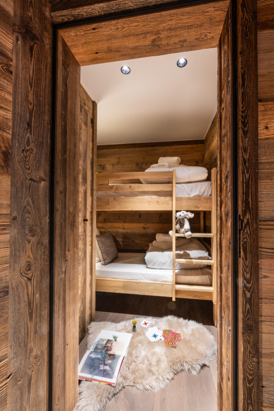 falcon-meribel-philippe-gal-f21-013-753418