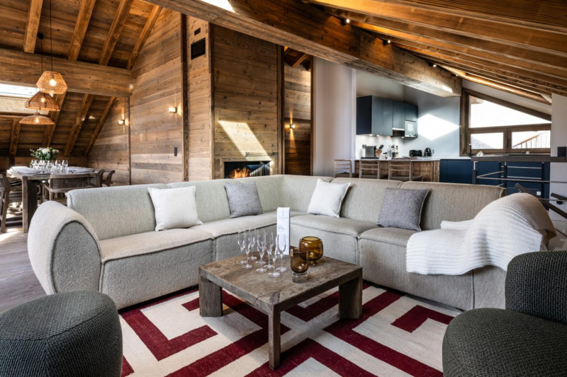 falcon-meribel-philippe-gal-f21-095-753408