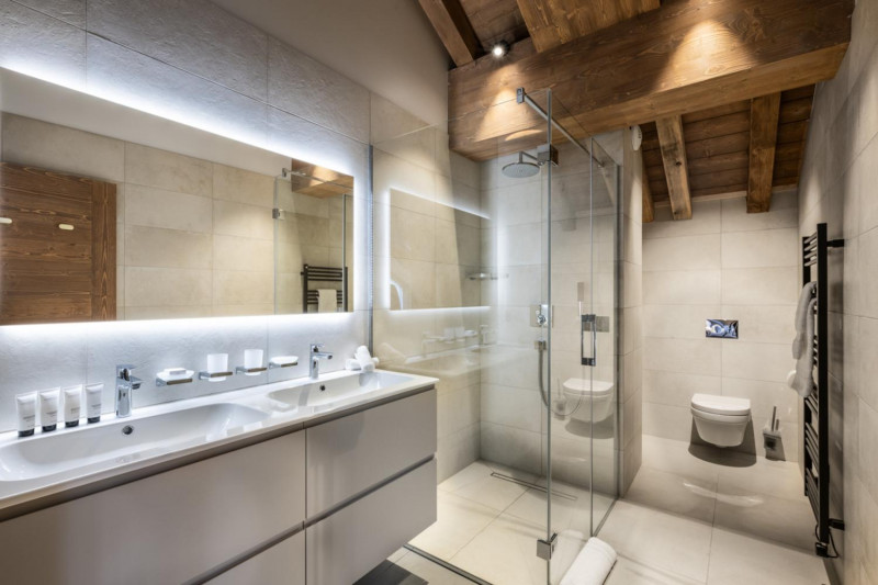 falcon-meribel-philippe-gal-g22-064-753463