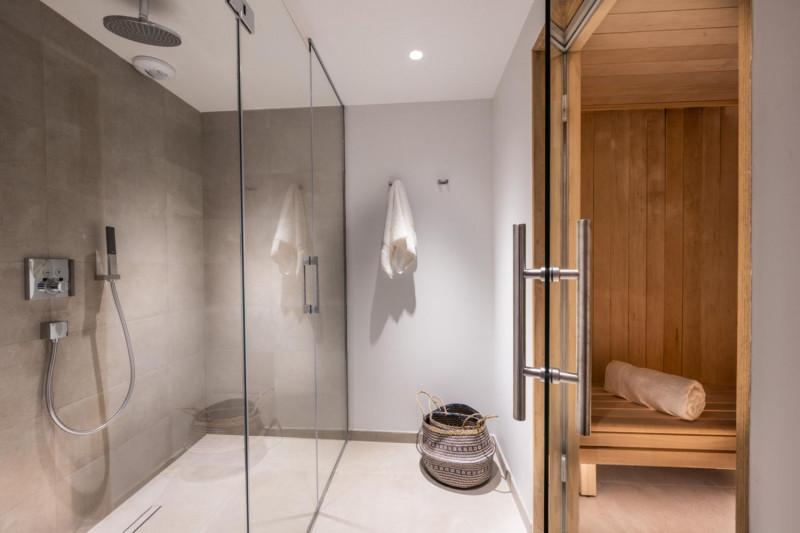 falcon-meribel-philippe-gal-g22-069-753464