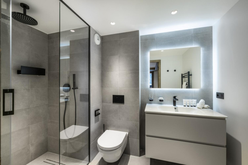 falcon-meribel-philippe-gal-h11-001-2-753483