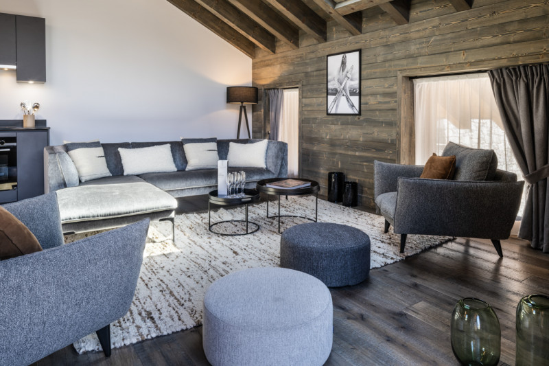 falcon-meribel-philippe-gal-i01-070-634264