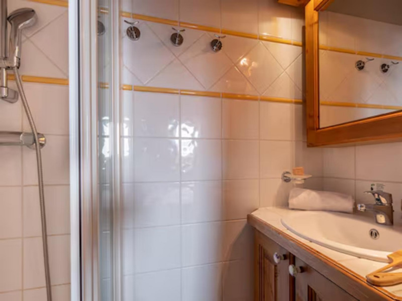 les-alpages-de-reberty-les-menuire-bathroom-2-1460239 les-alpages-de-reberty-les-menuire-bathroom-2-1460239