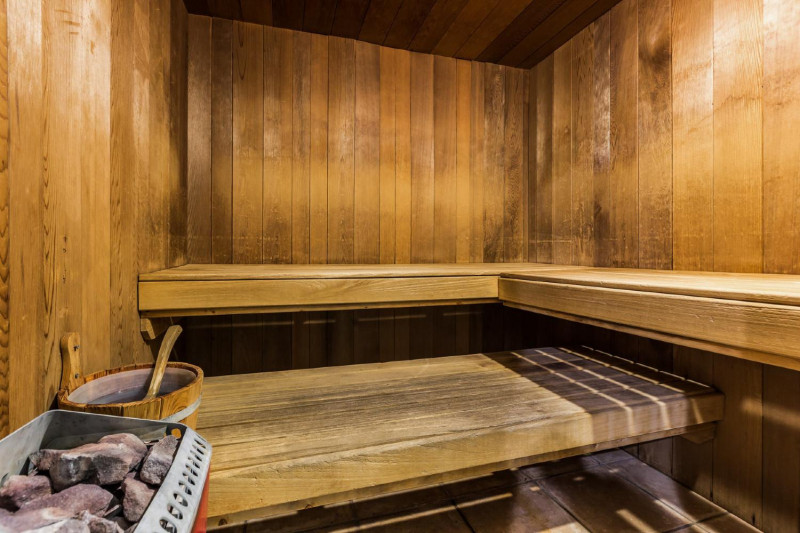 les-hauts-bois-la-plagne-sauna-1038809