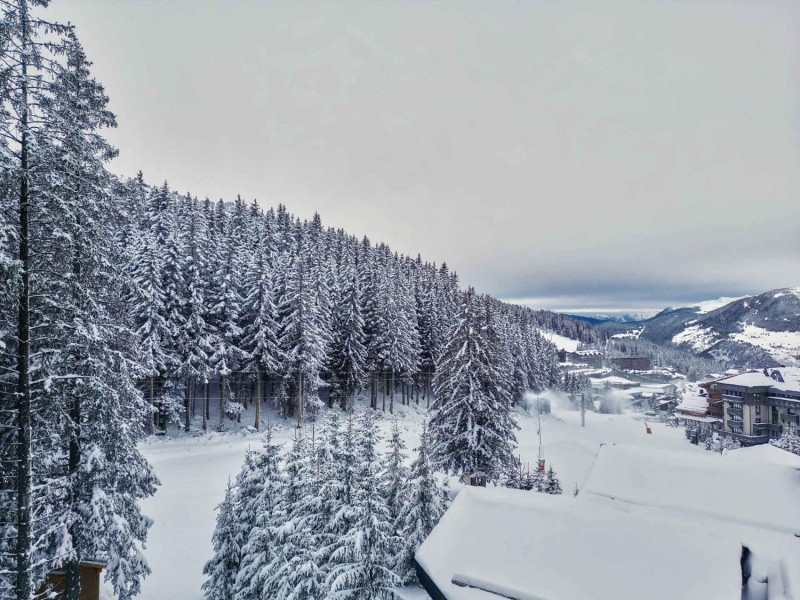 lofsnow-chalet-14-people-courchevel-1850-bellec-te-1-24-1464114