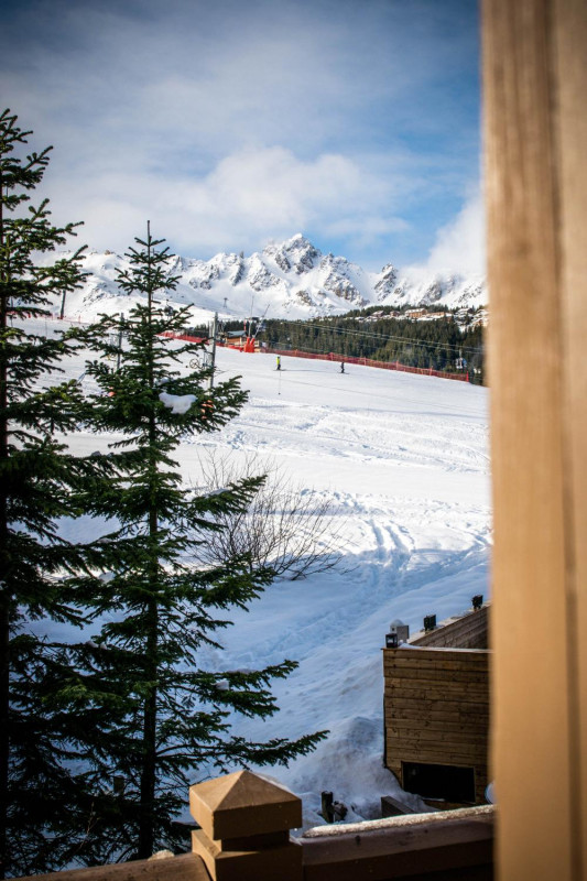 pattar-manali-lodge-310120-aline-hudry-768614